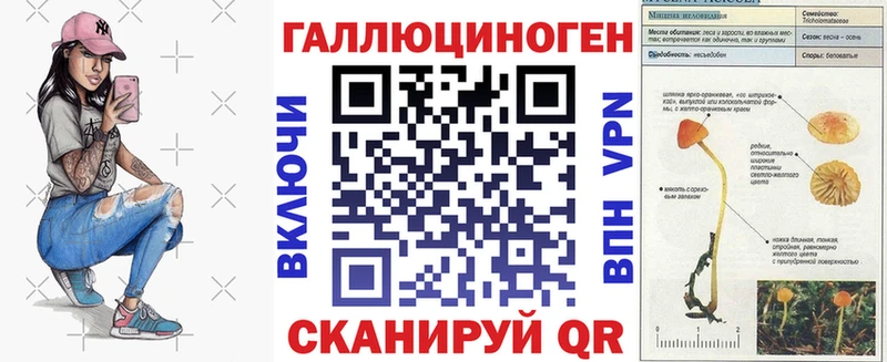 цены   Камышлов  Галлюциногенные грибы Psilocybine cubensis 